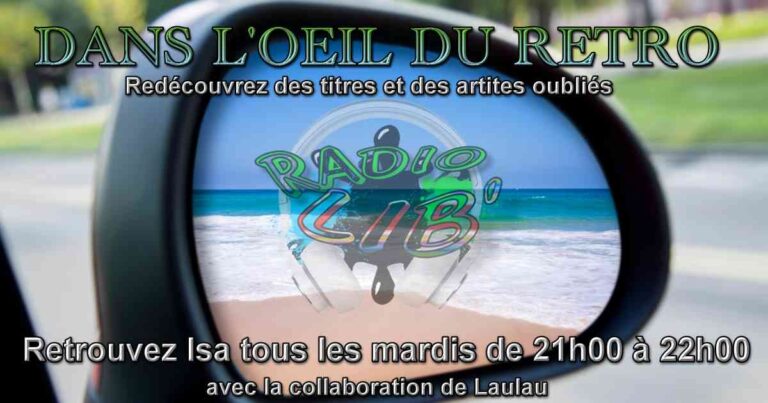 changer_retroviseur_exterieur-1024x494